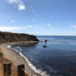 Meet your Posher, Sophia